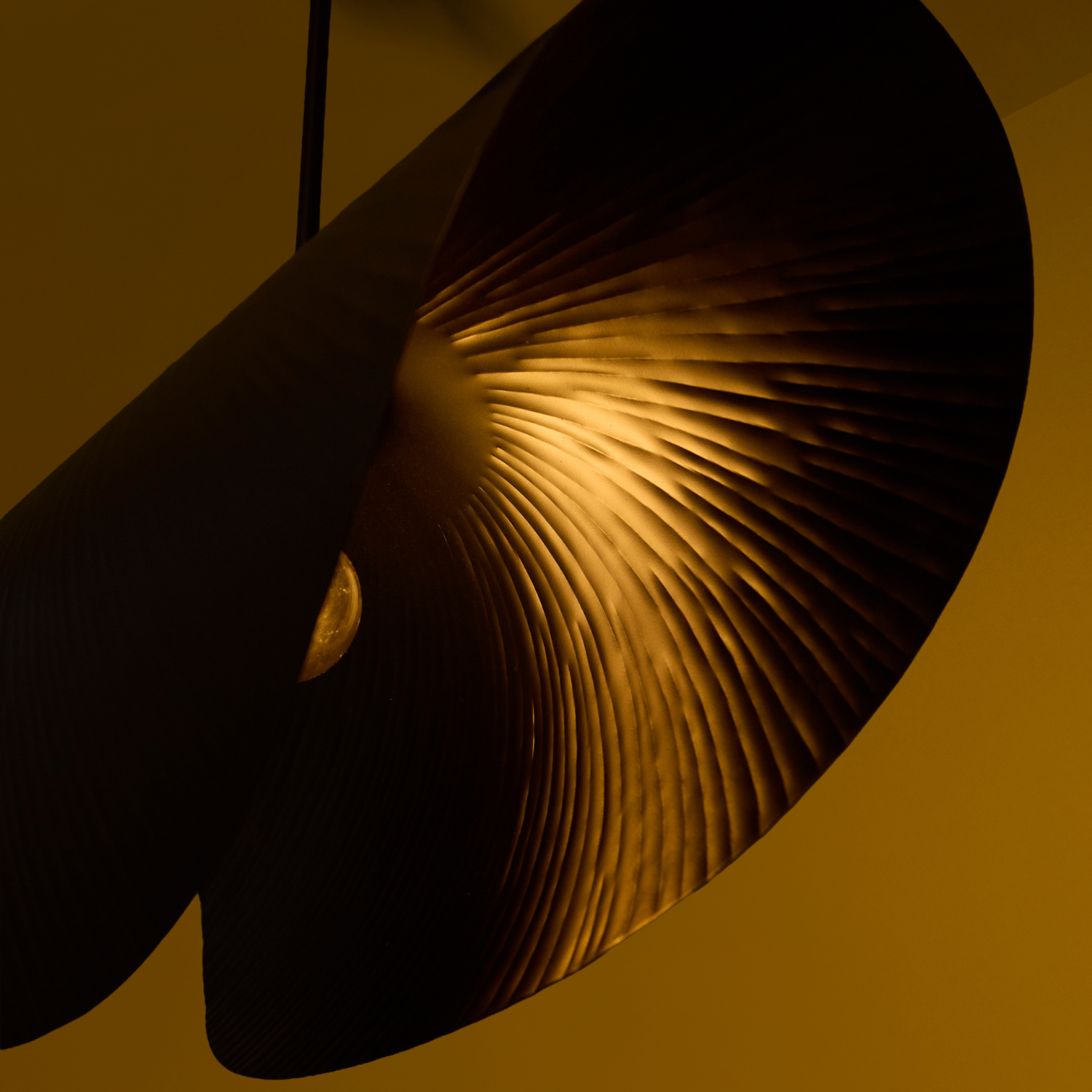 Shell Ceiling Light