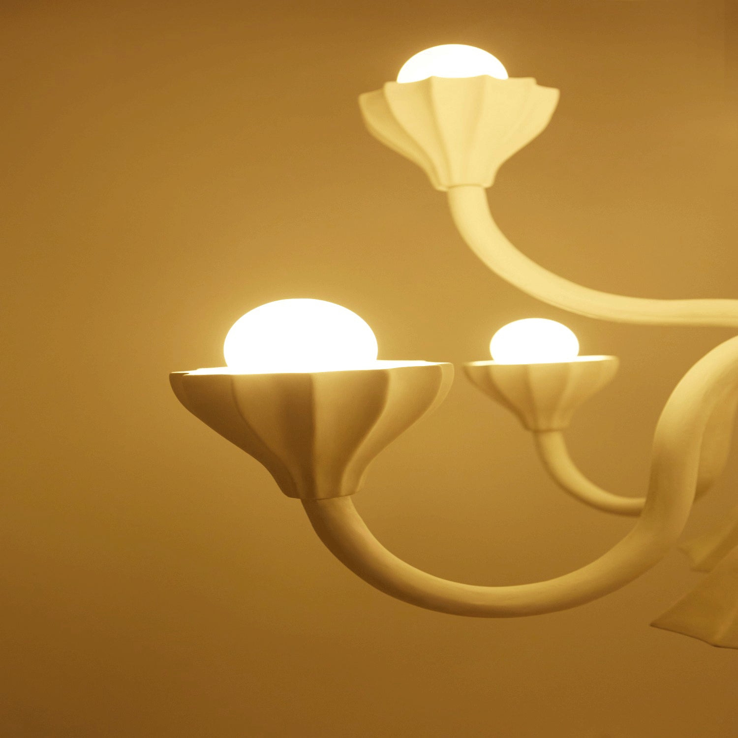 Botanical Chandelier