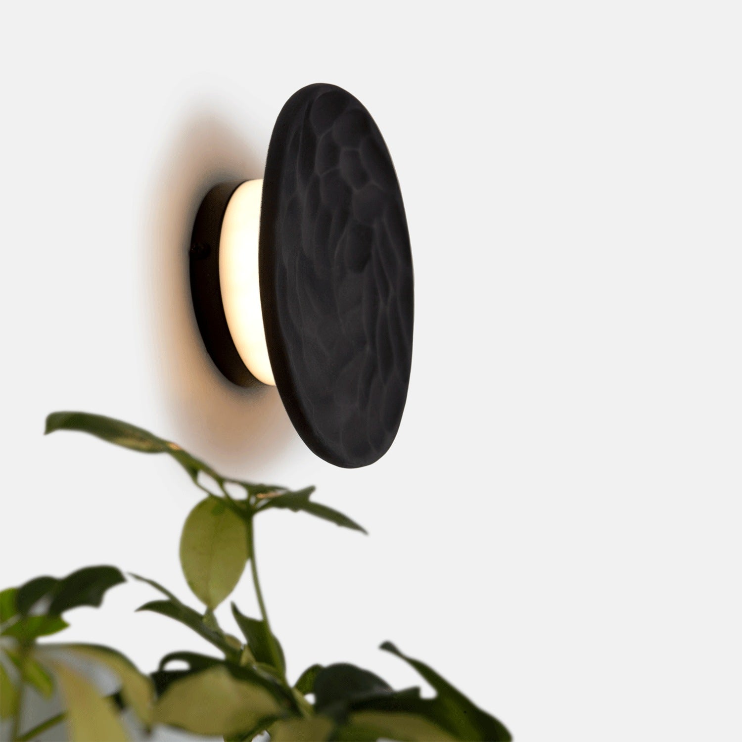 Clay Disc Wall Light