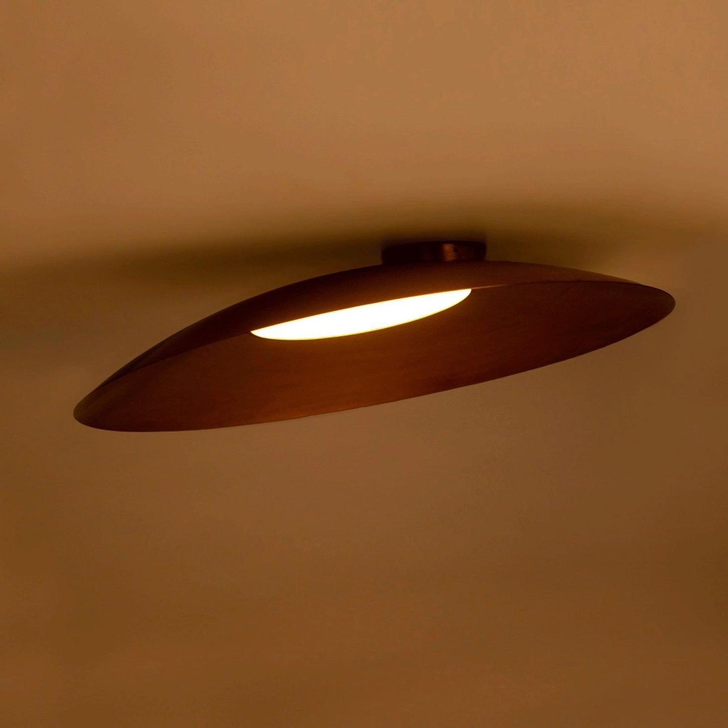 Eclipse Ceiling Light