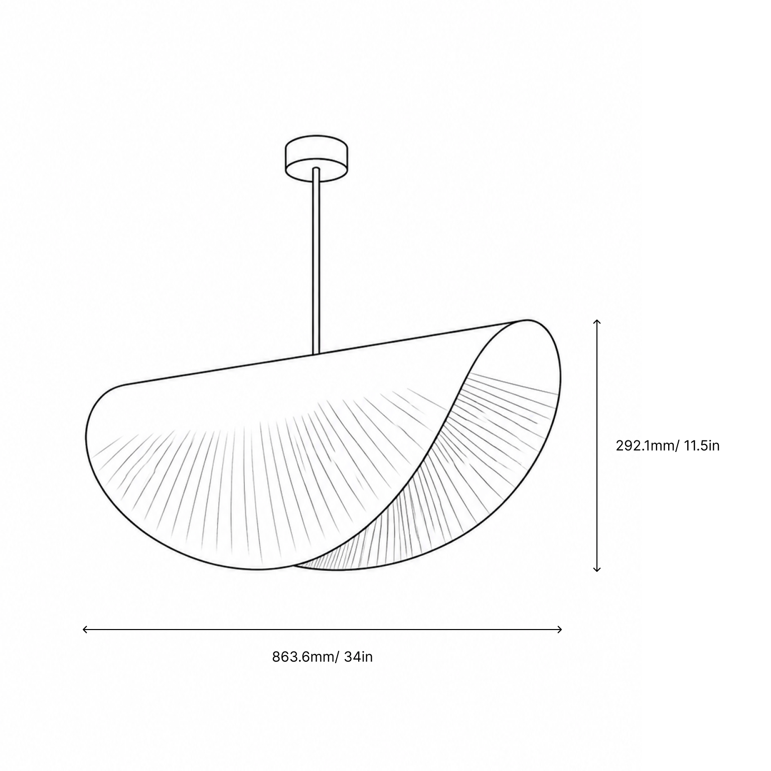 Shell Pendant Light