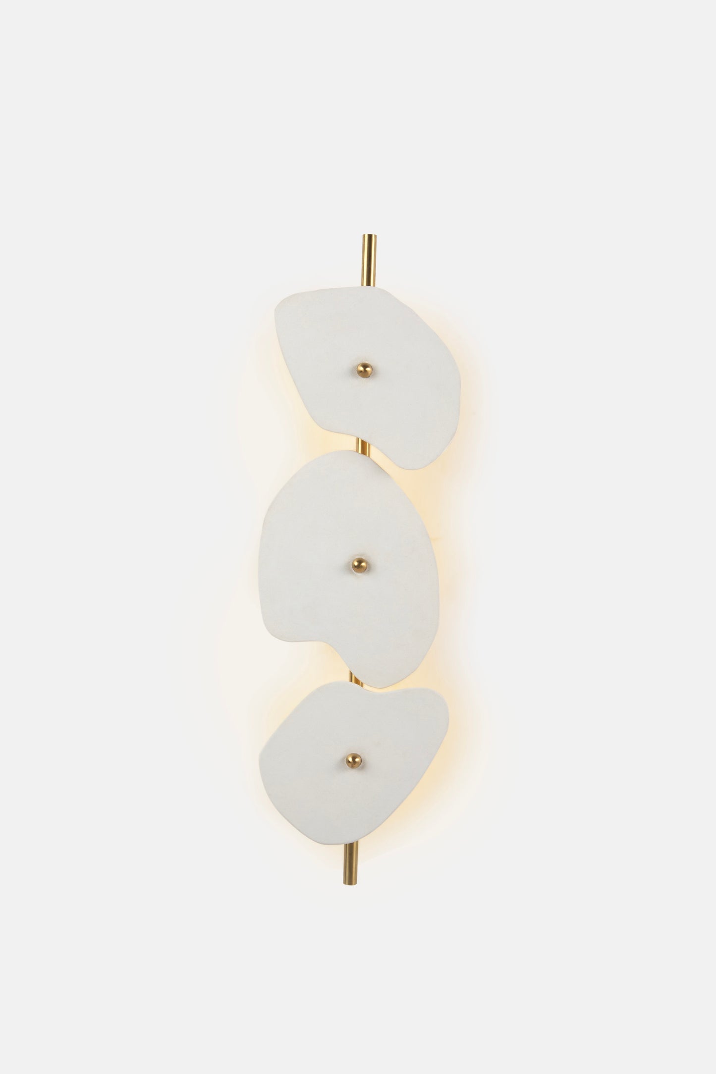 Organic Wall Lamp