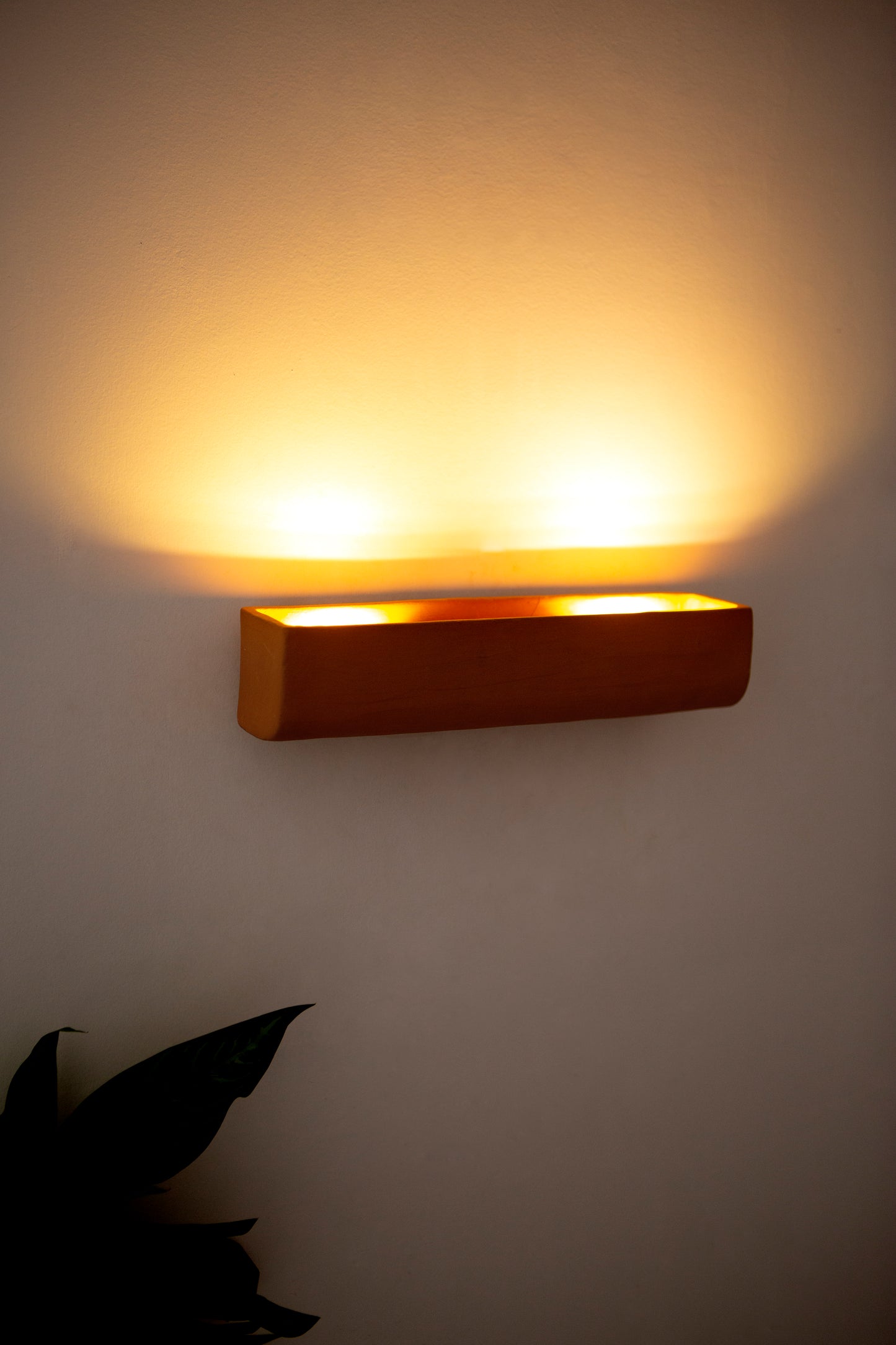 Terra Picture Light
