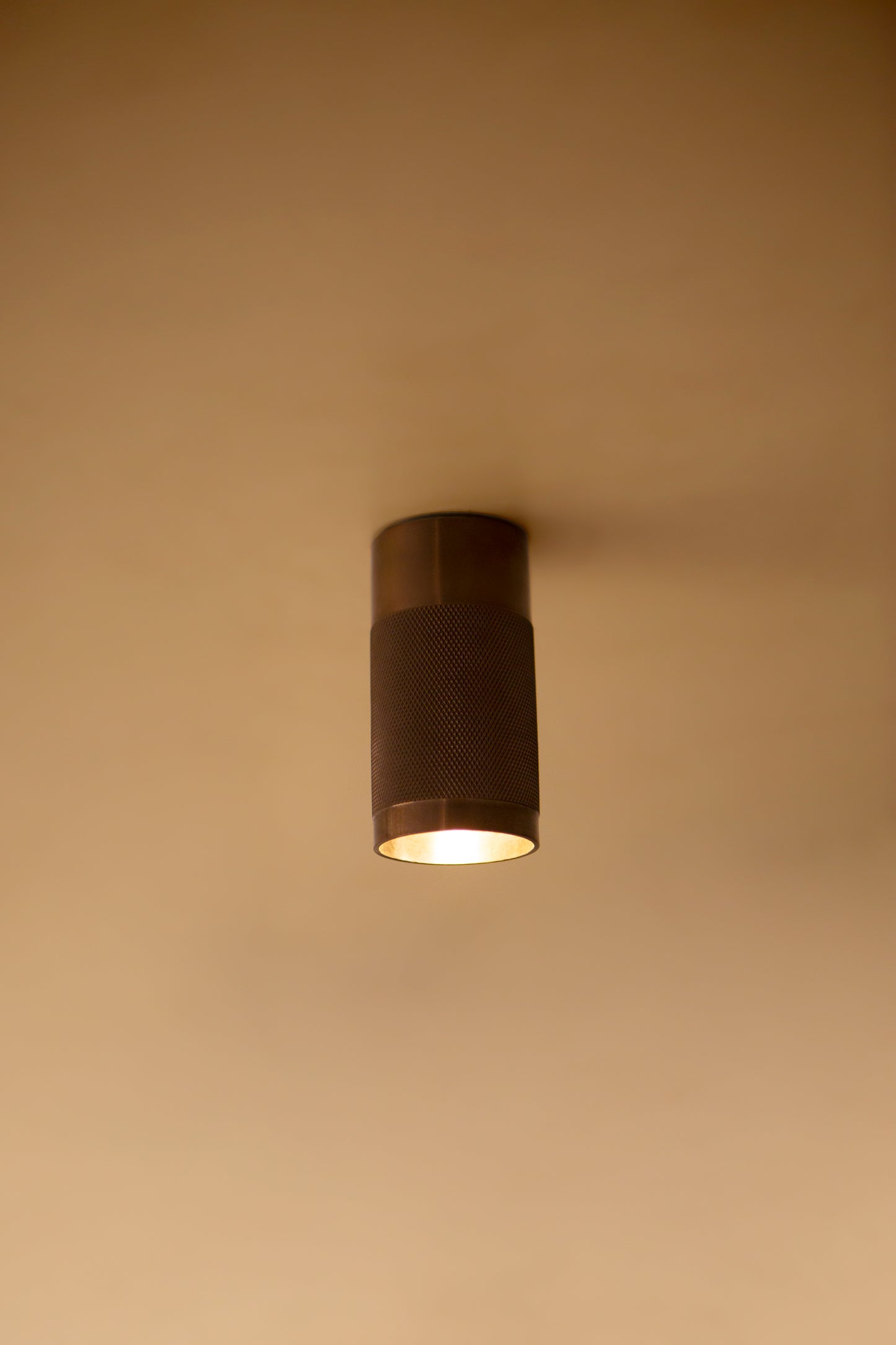 Nerl Spotlight in Bronze