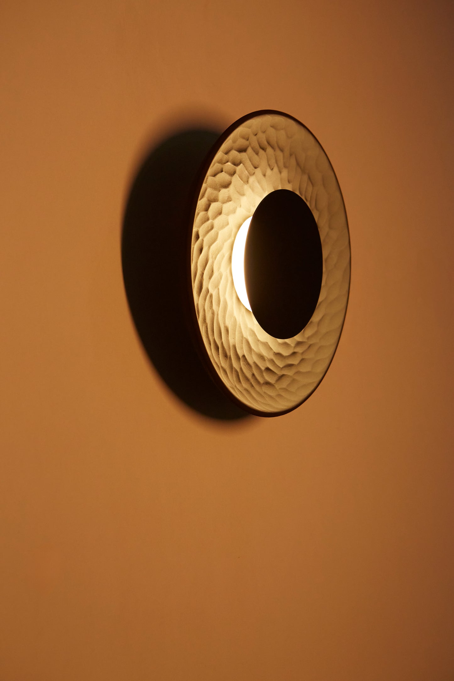 Disc Wall Light in Black
