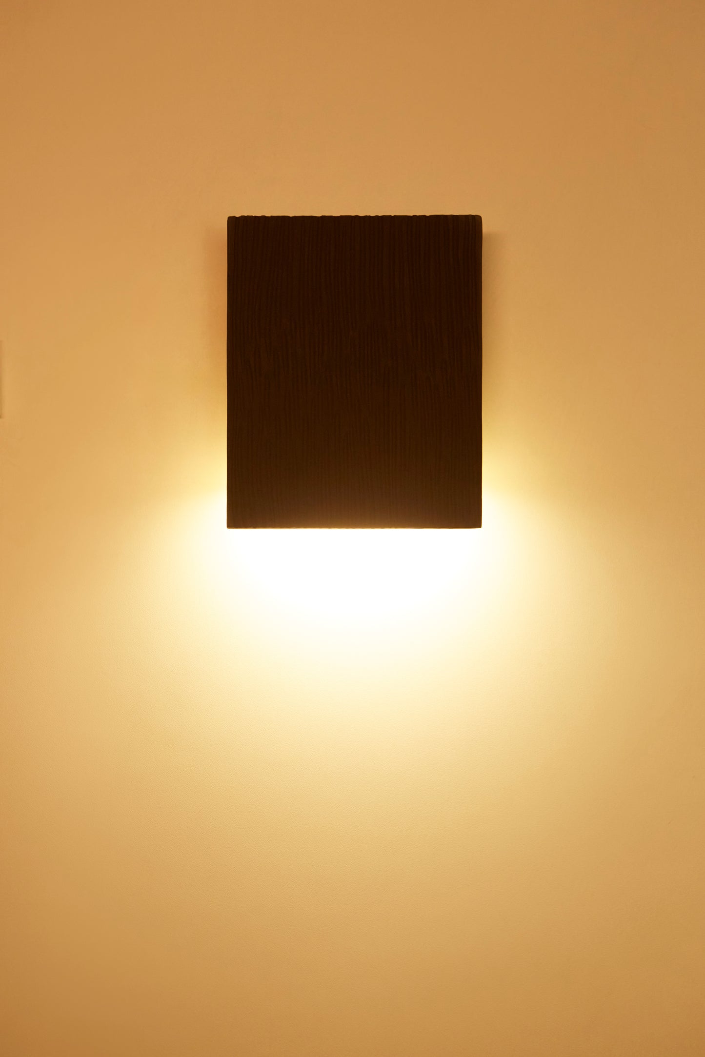 Down Light in Black
