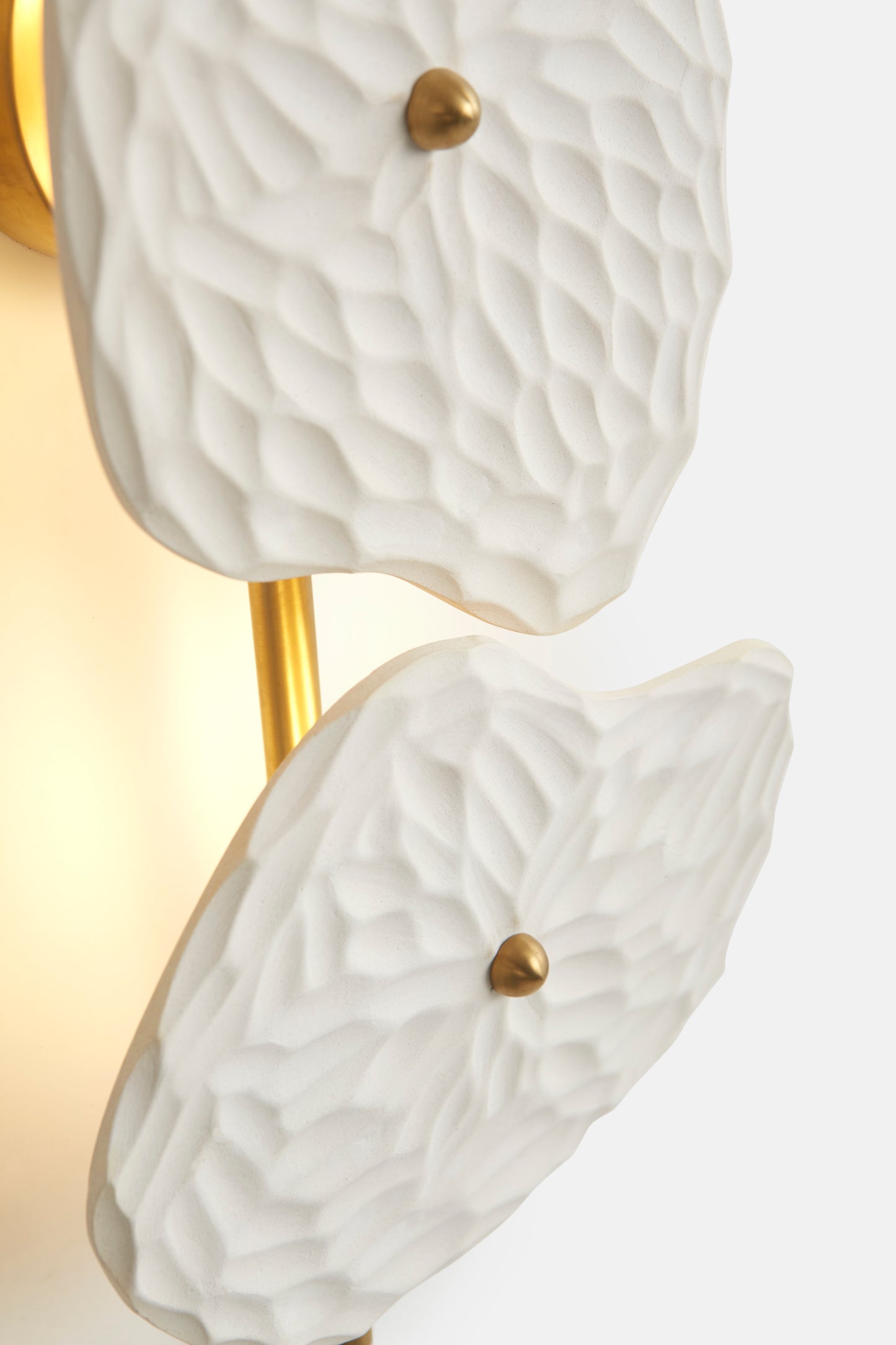 Organic Wall Lamp
