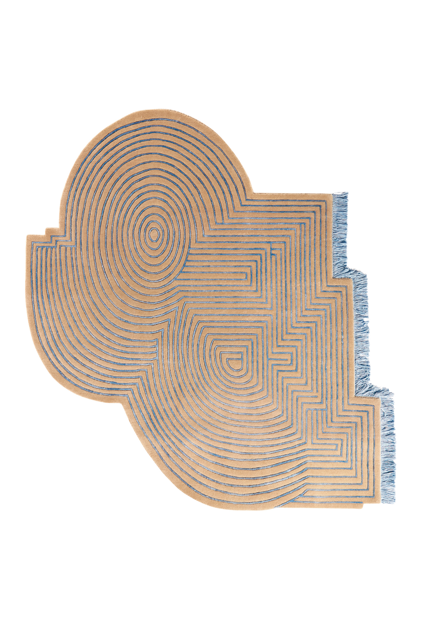 Maze Camel