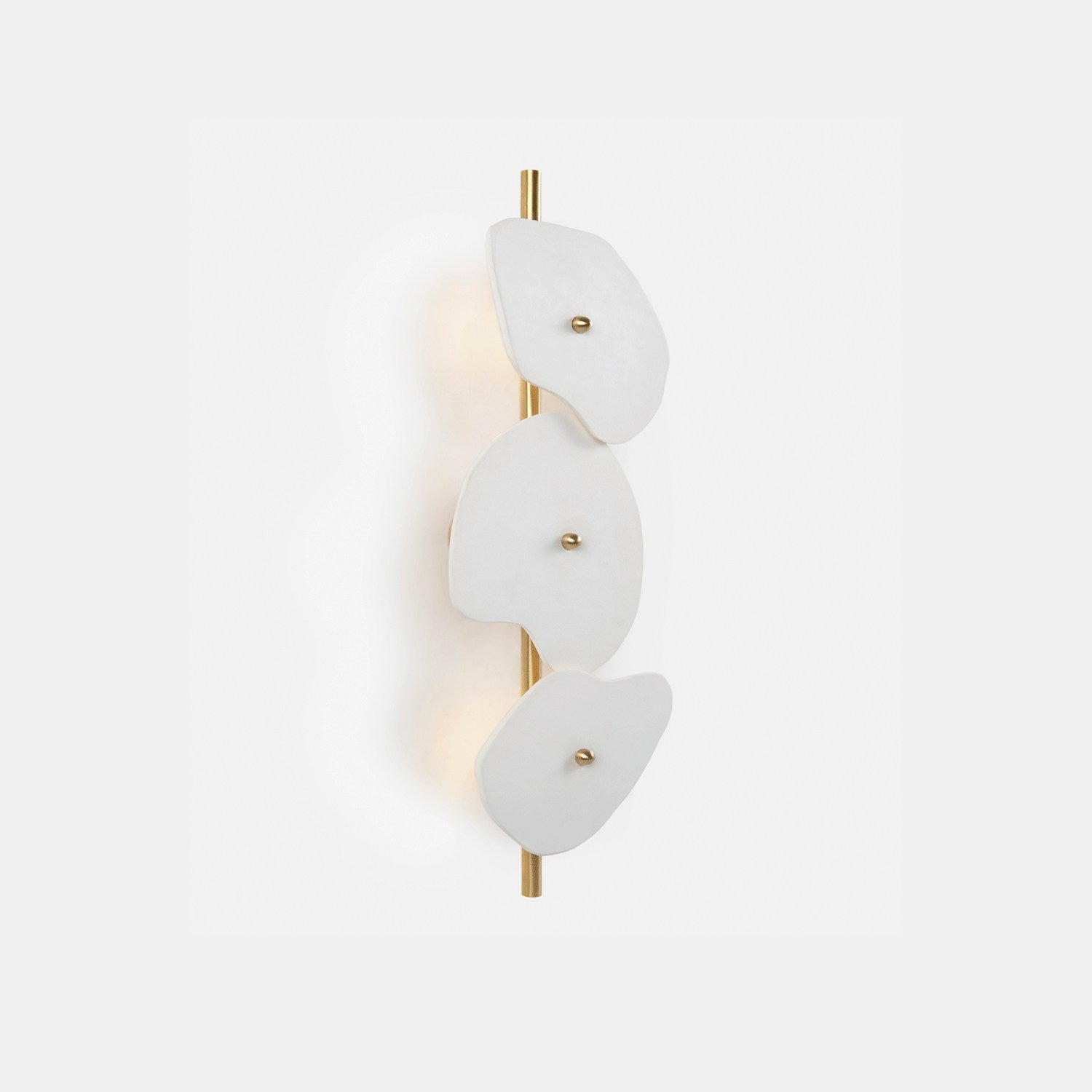 Organic Wall Lamp