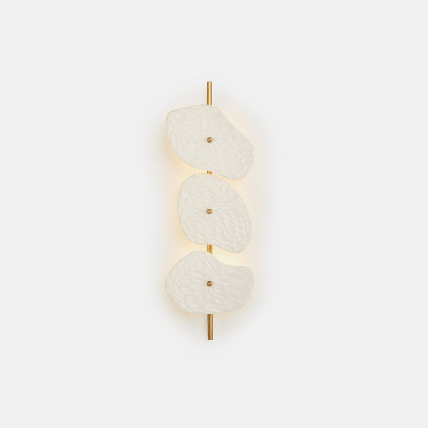 Organic Wall Lamp