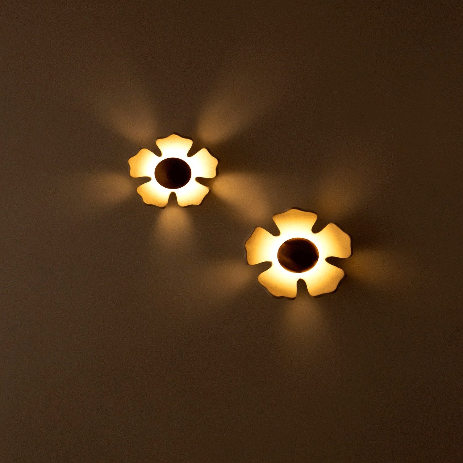 Flower Wall Light