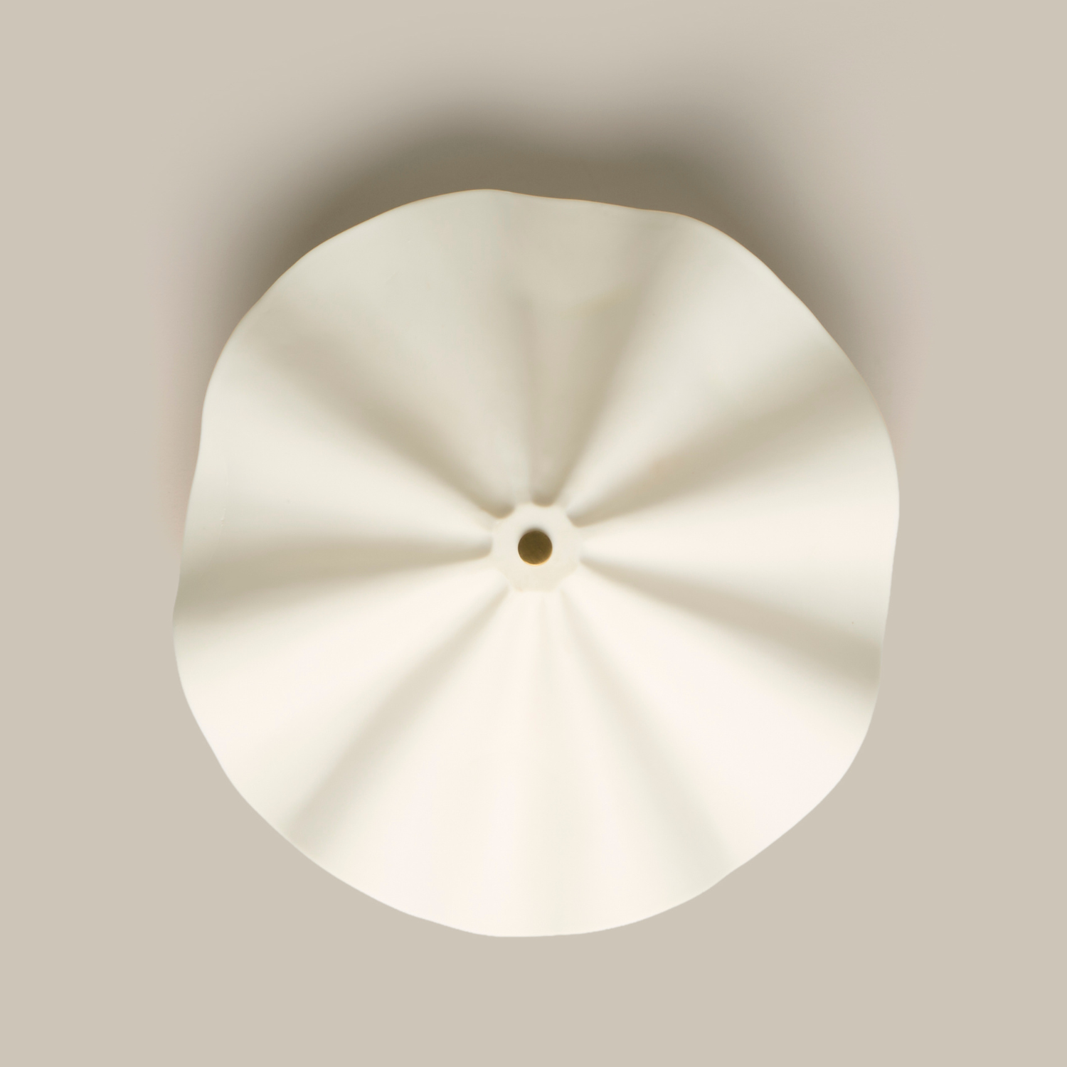 Porcelain Ceiling Light