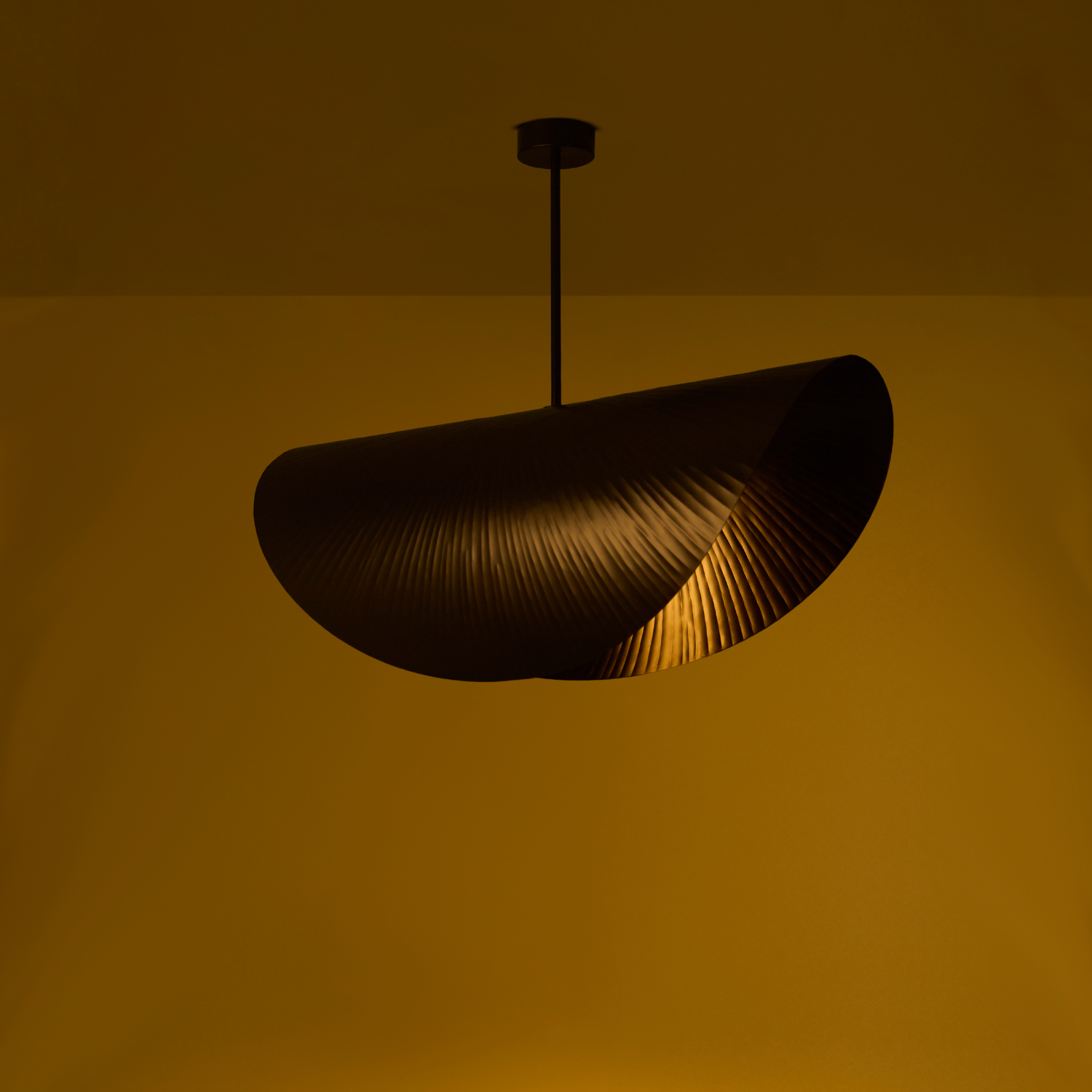 Shell Ceiling Light
