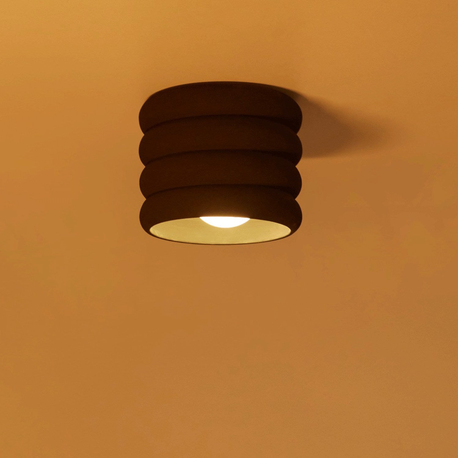 Contour Ceiling Light