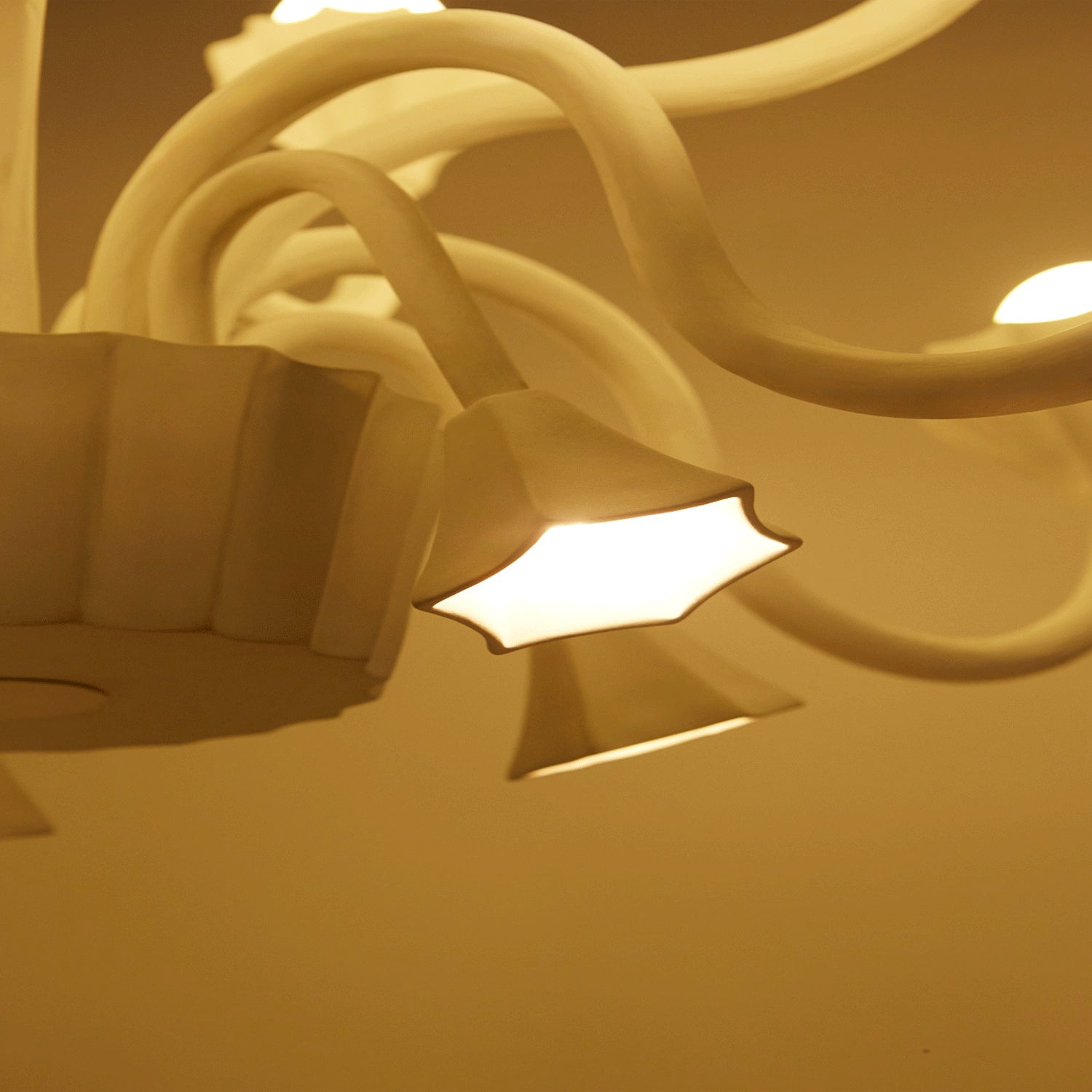 Botanical Chandelier