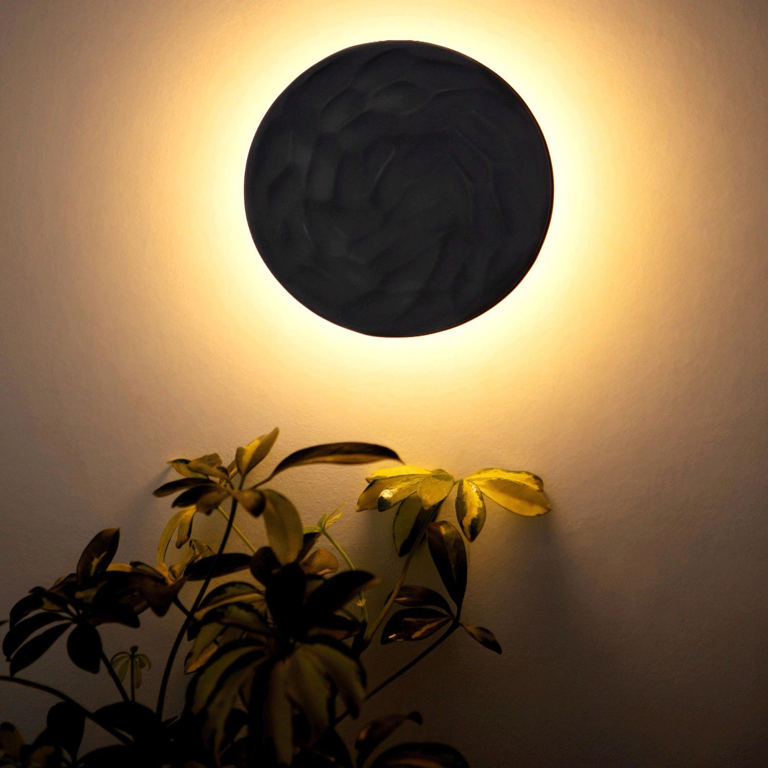 Clay Disc Wall Light