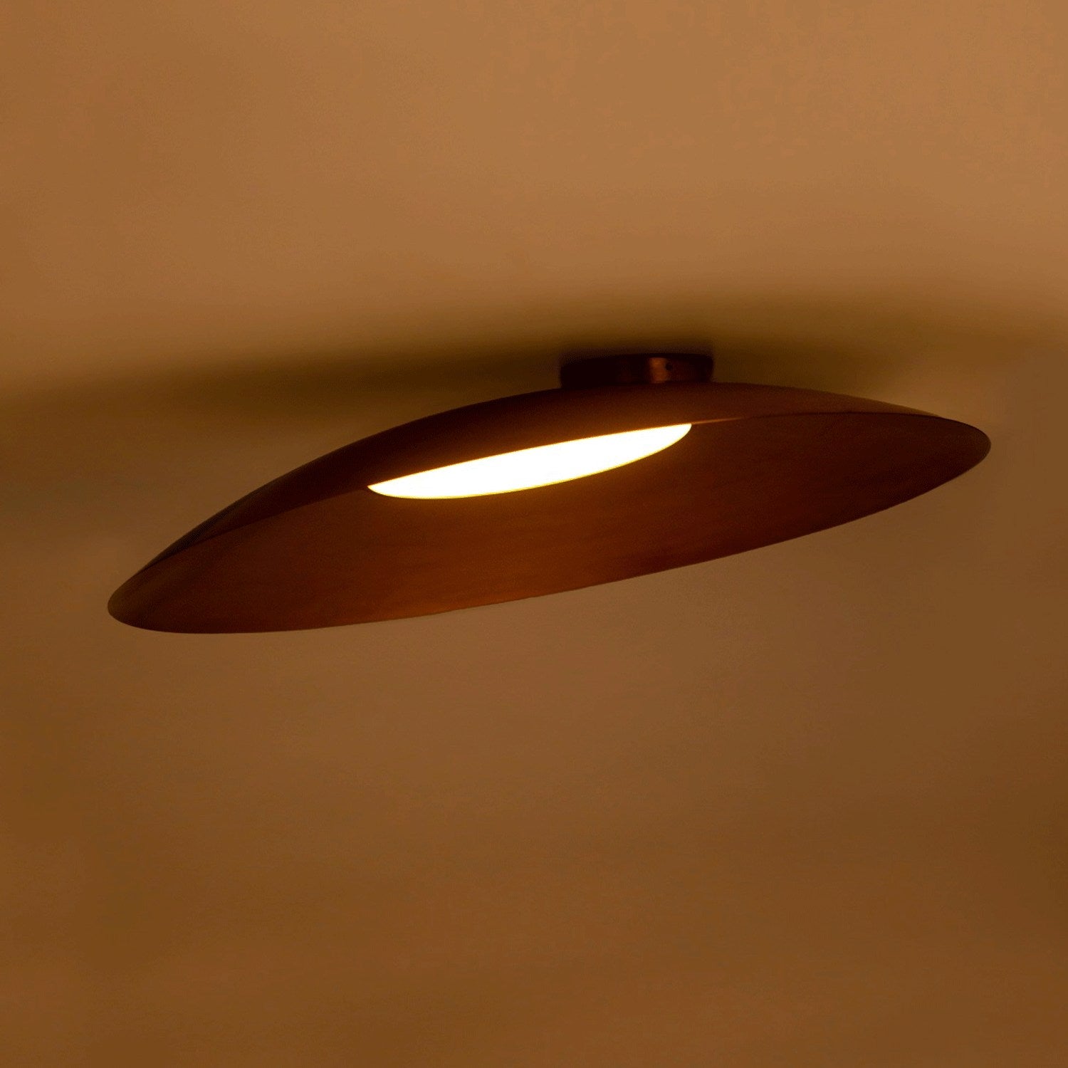 Eclipse Ceiling Light