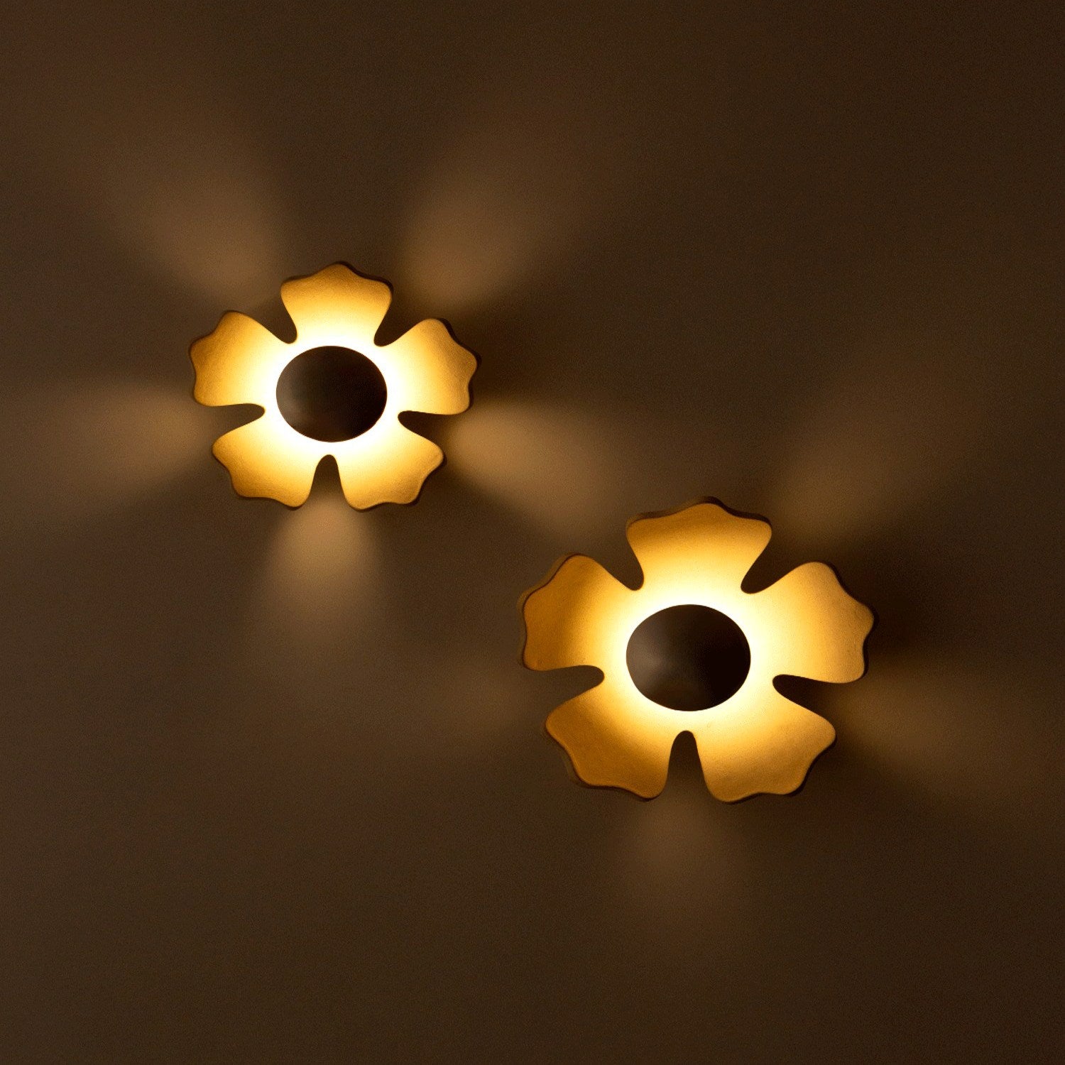 Flower Wall Light