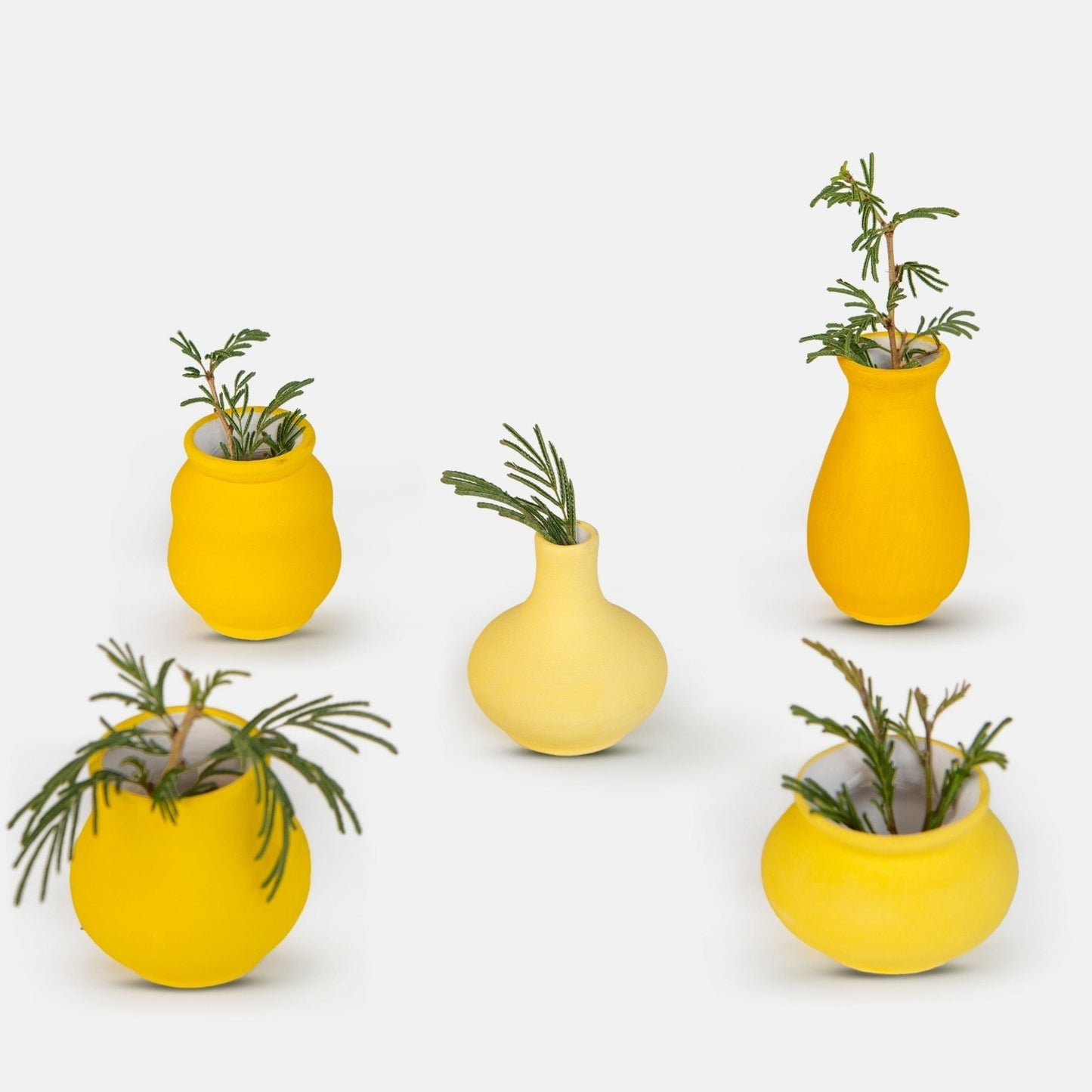 Pot Series in Yellow