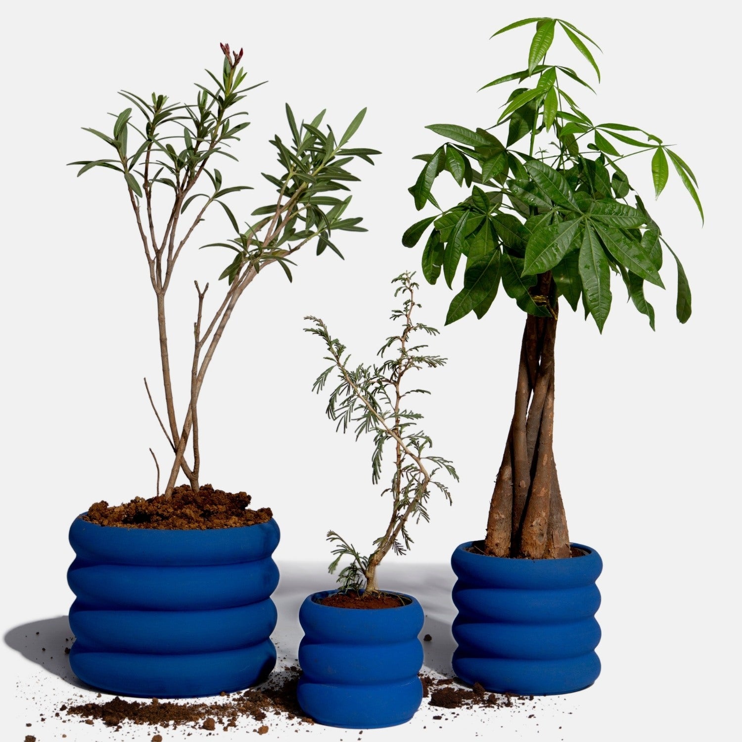 Ceramic Planters