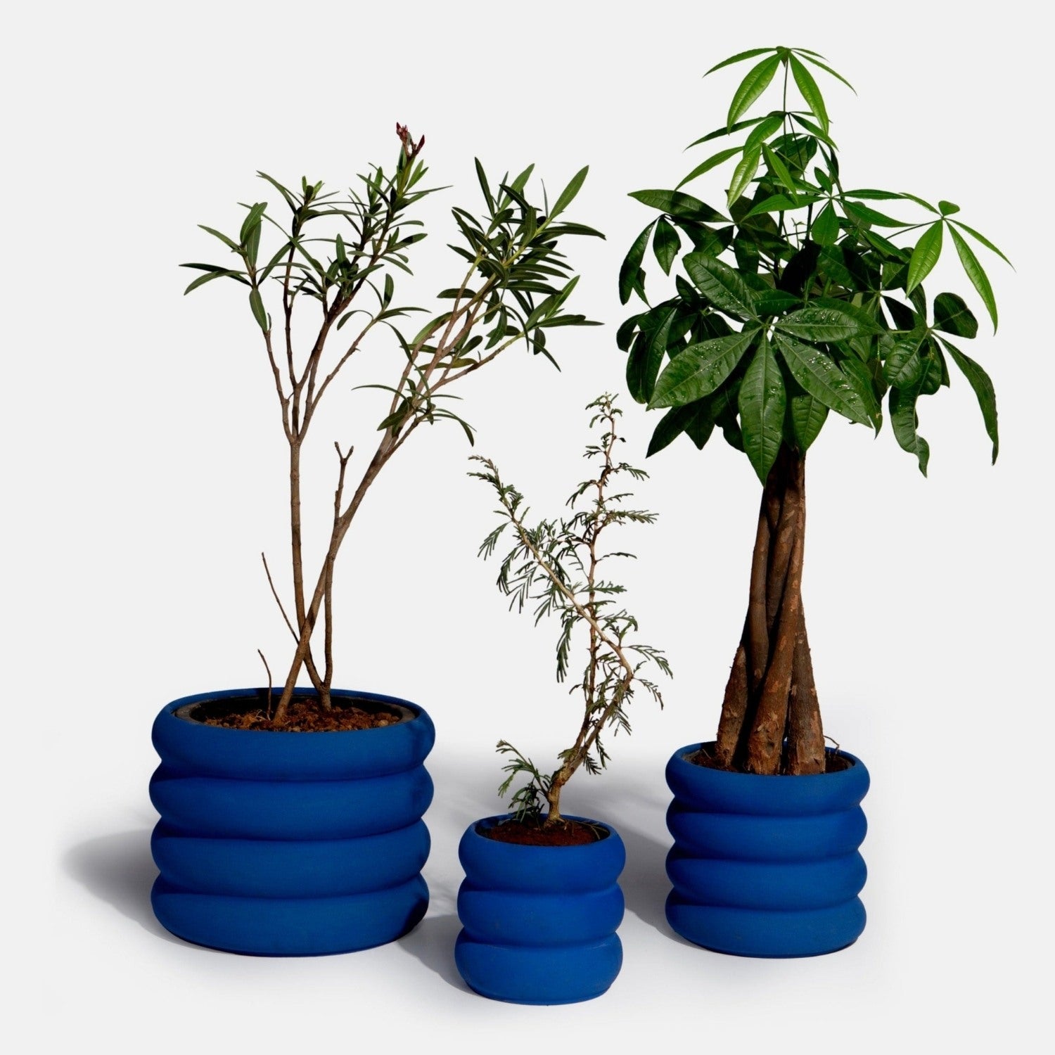 Ceramic Planters