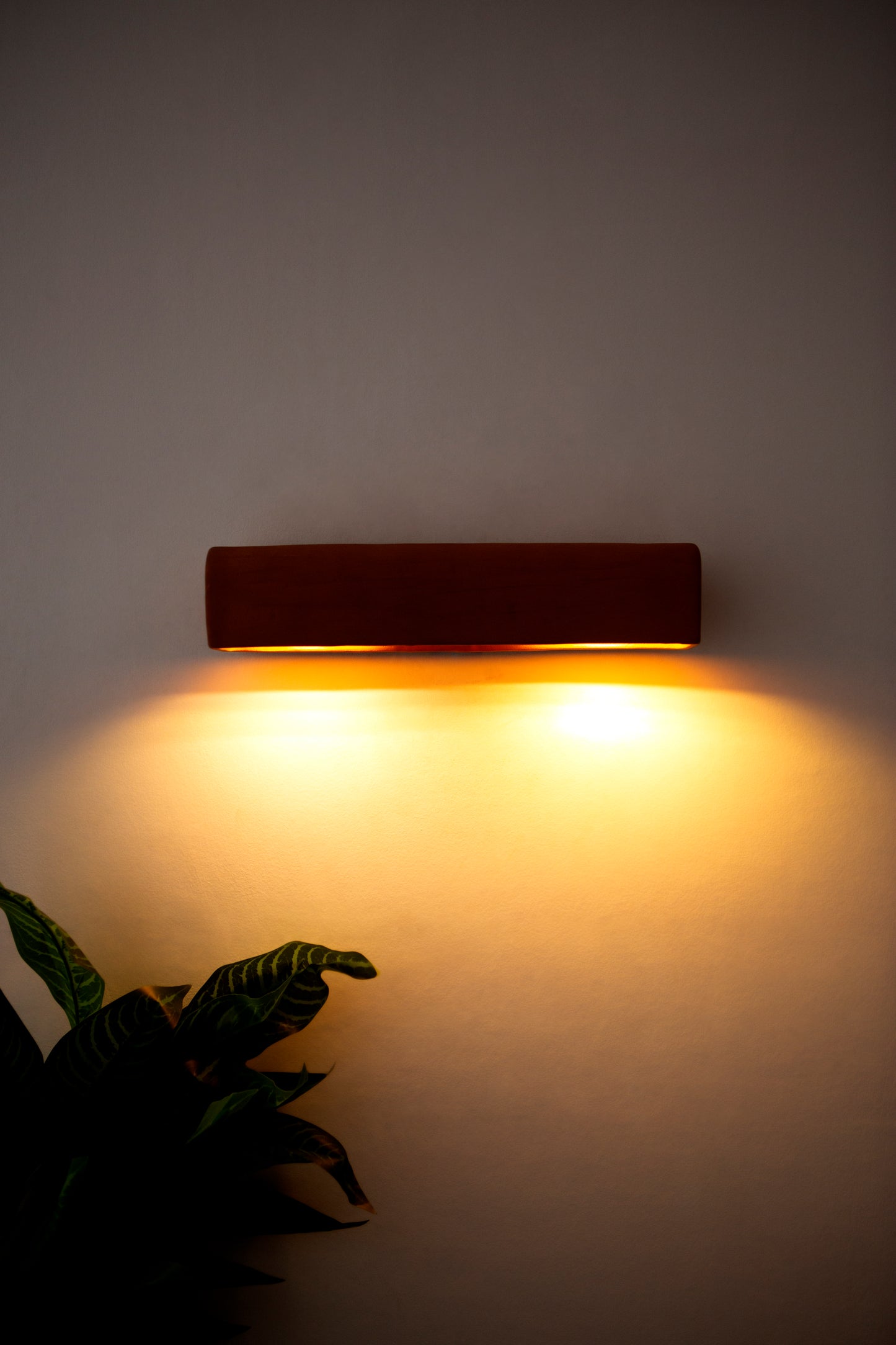 Terra Picture Light