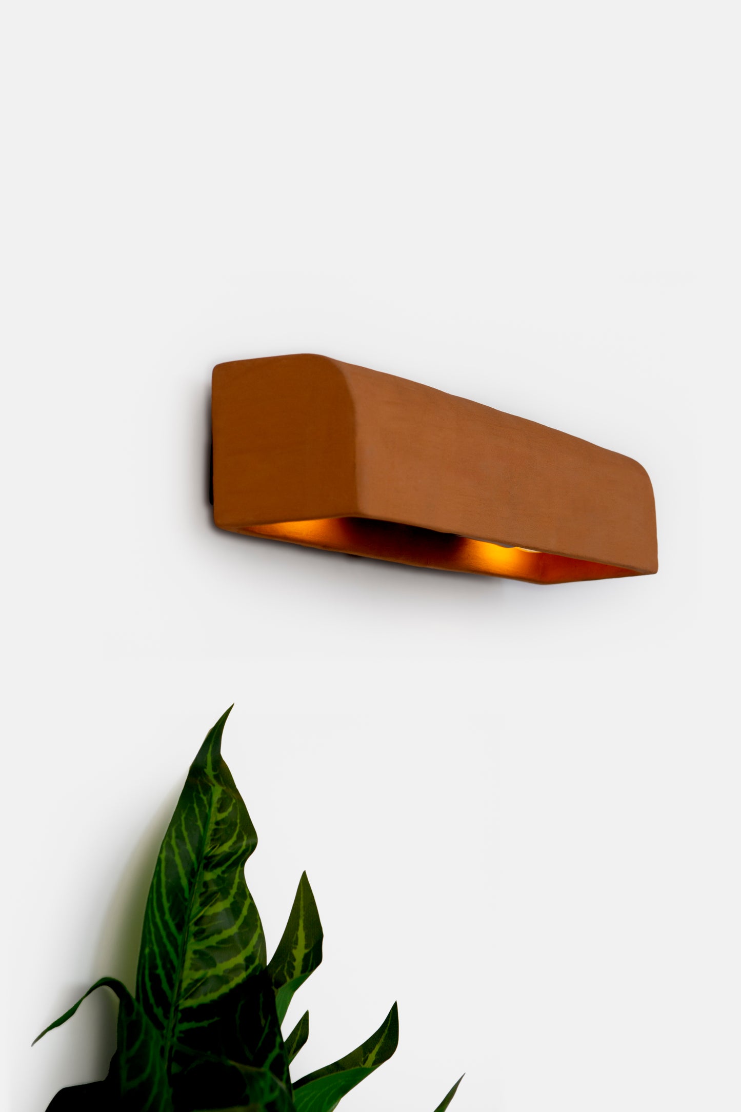 Terra Picture Light