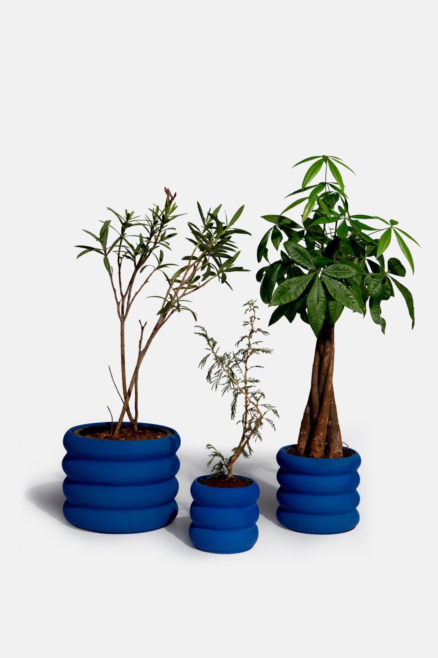 Ceramic Planters