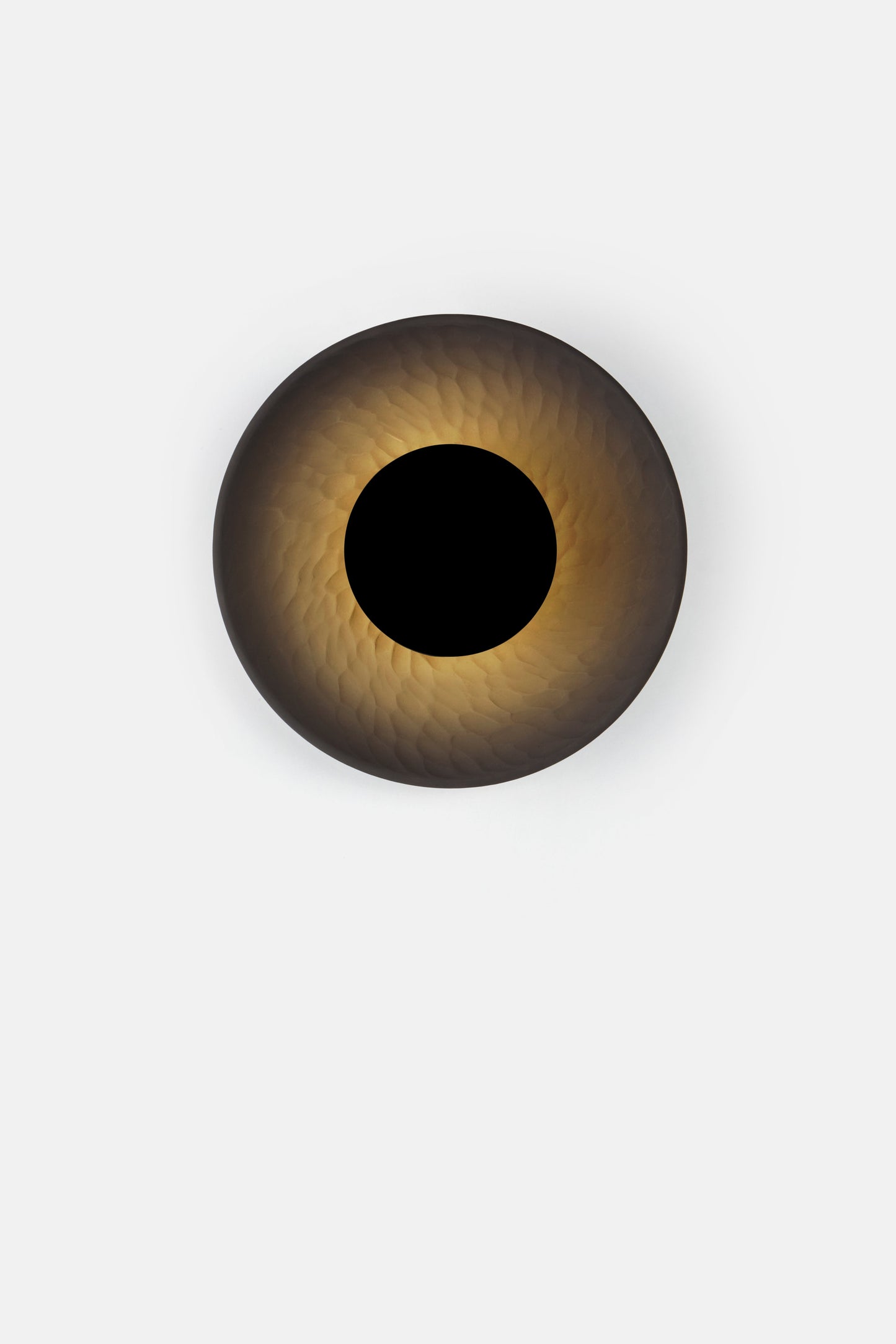 Disc Wall Light in Black