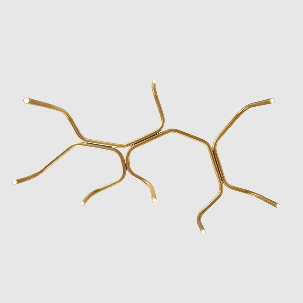 Branch Light