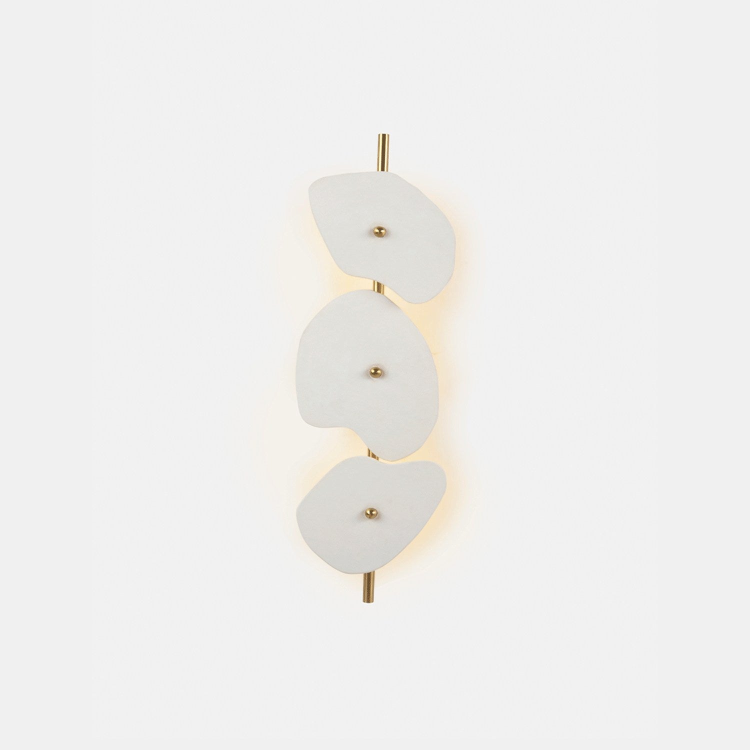 Organic Wall Lamp