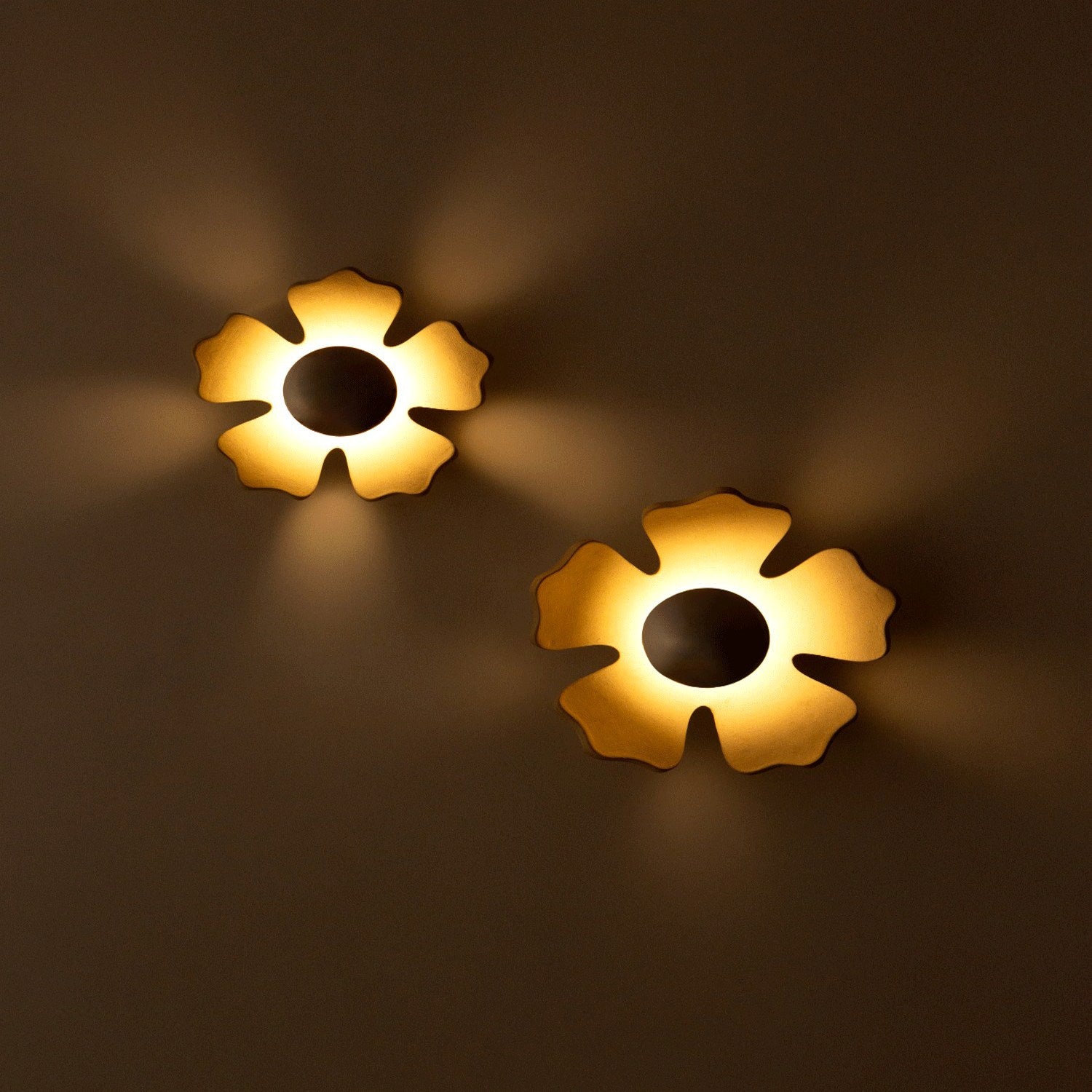 Flower Wall Light