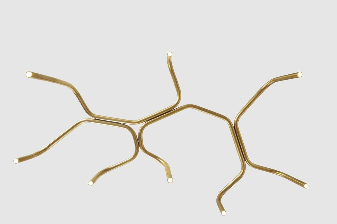 Branch Light