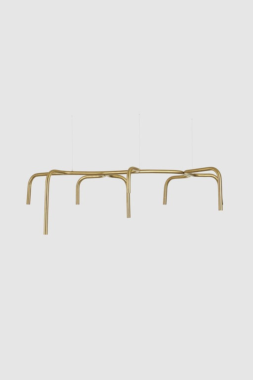 Branch Light